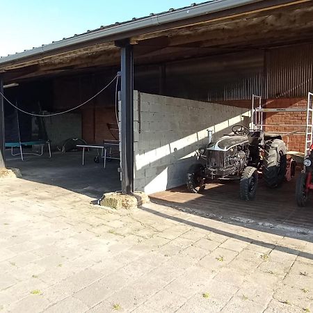 Natuur-Like Glamping In Bosland NeerNeerpelt Exterior foto