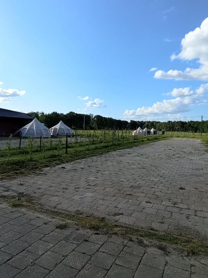 Natuur-Like Glamping In Bosland NeerNeerpelt Exterior foto