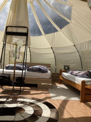 Natuur-Like Glamping In Bosland NeerNeerpelt Exterior foto
